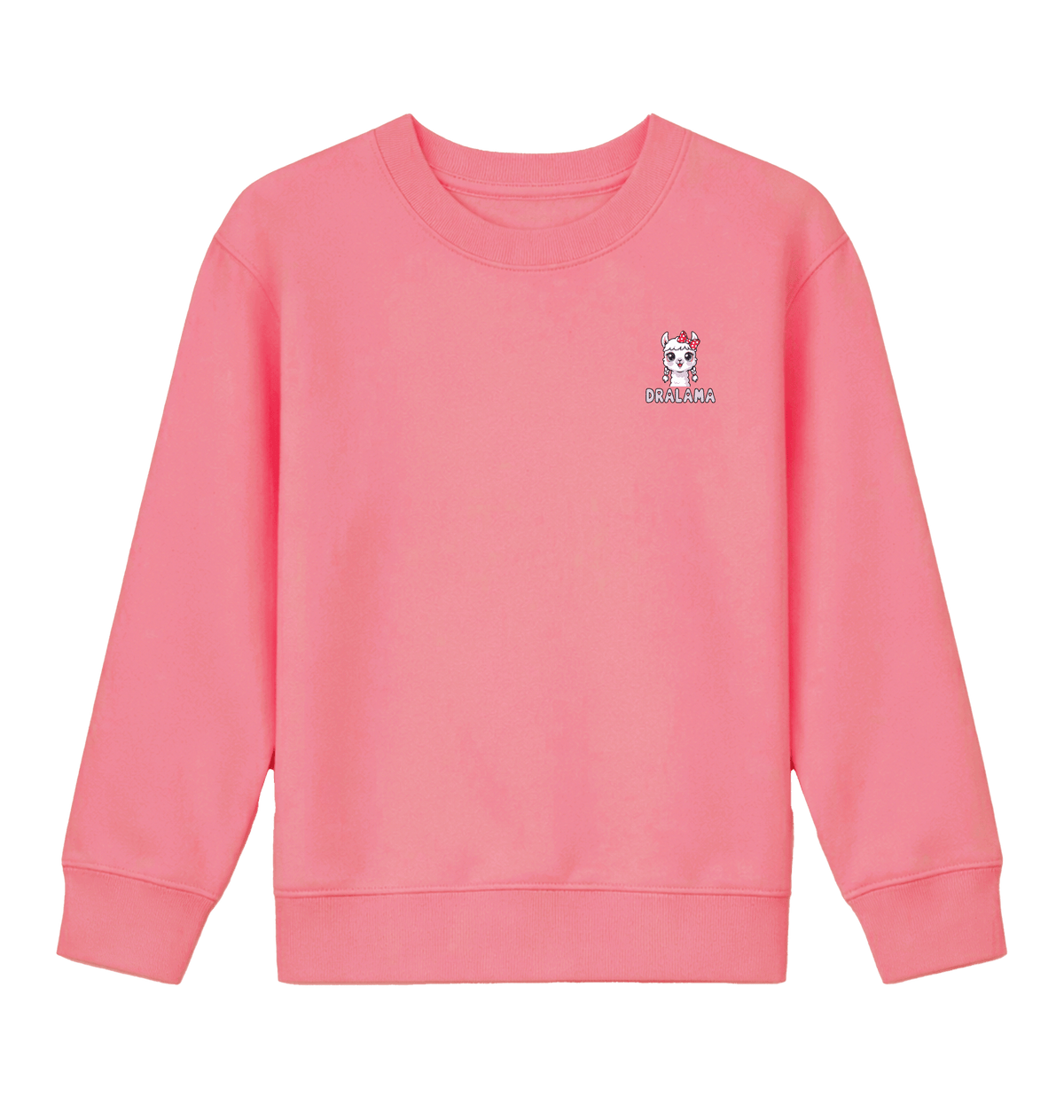 Pink Joy Printed Sweater Front