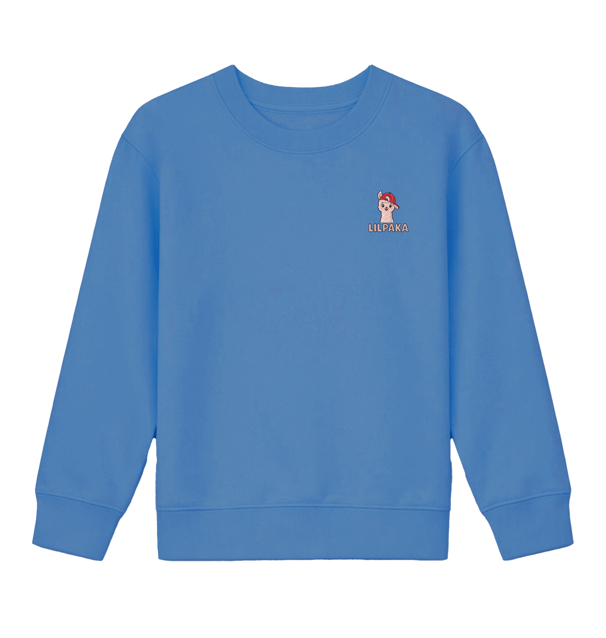 Bright Blue Printed Sweater Front